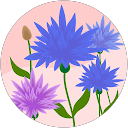 Barbi Ives profile picture